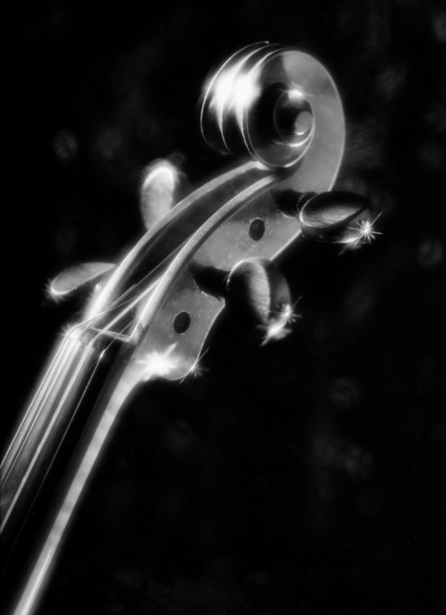 contrebasse