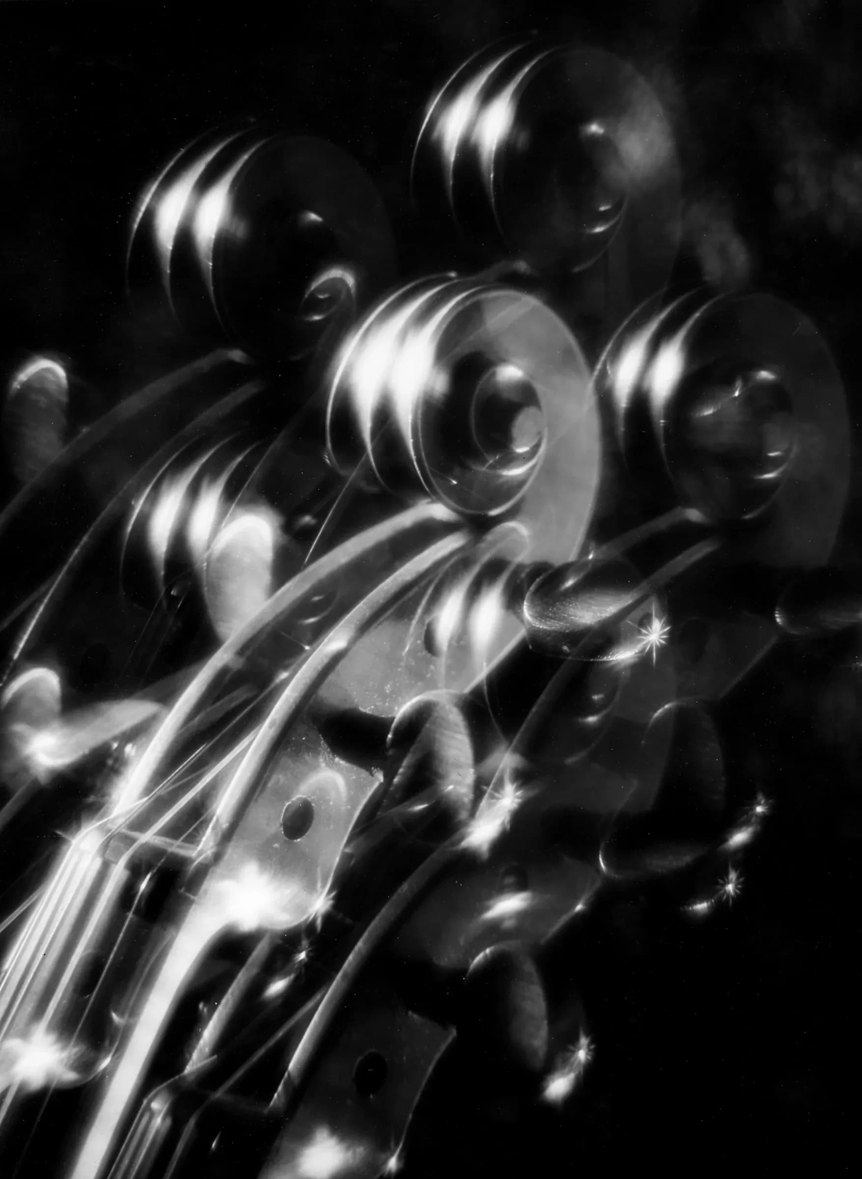 contrebasses