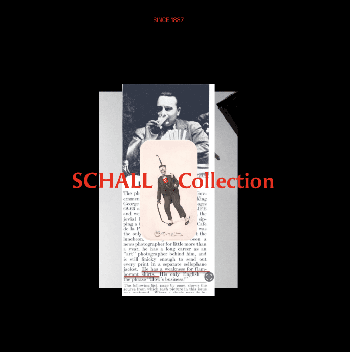 Post Instagram — Schall Collection
